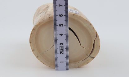 Round woolly mammoth ivory piece