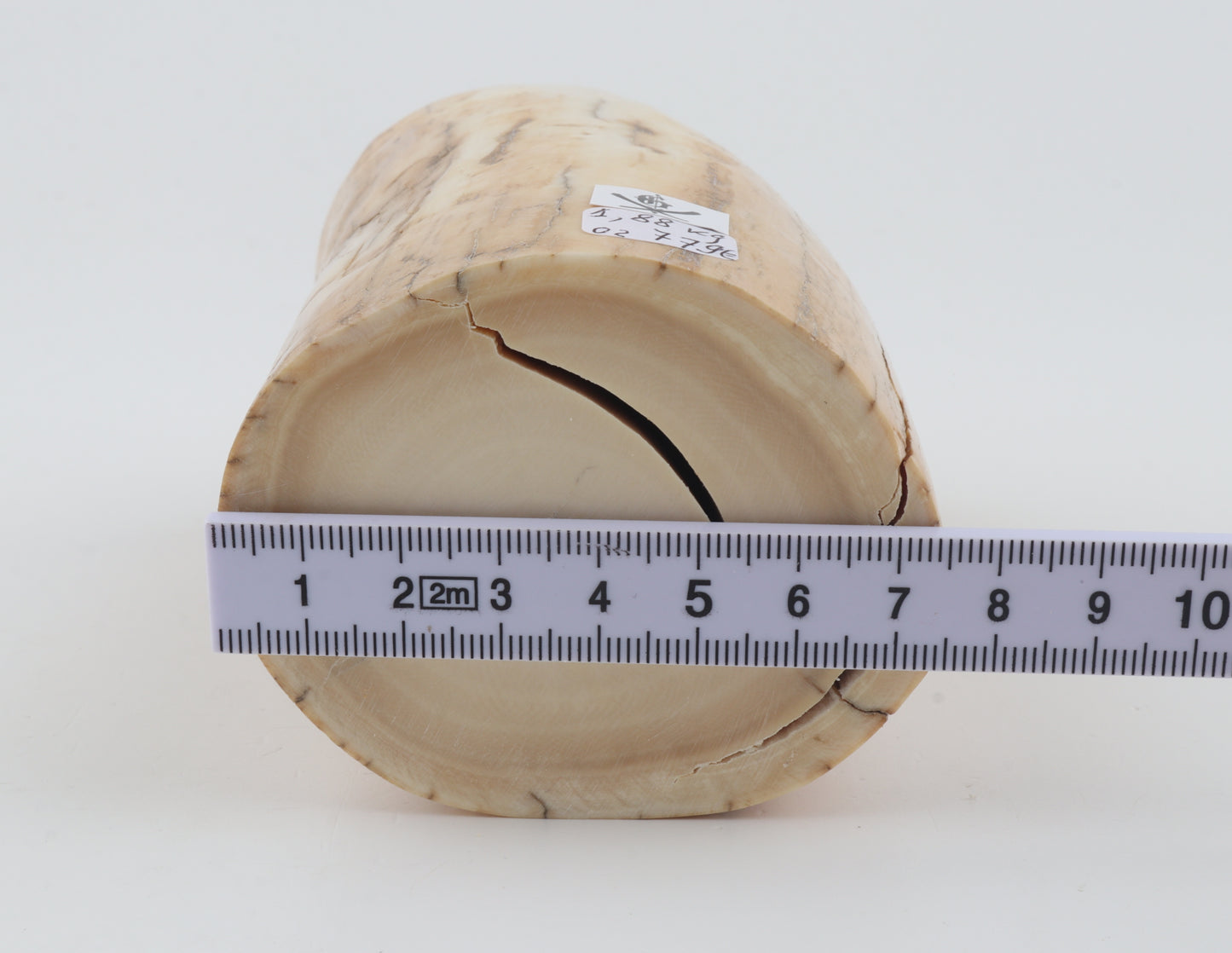 Round woolly mammoth ivory piece