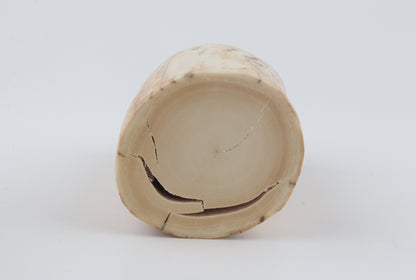 Round woolly mammoth ivory piece