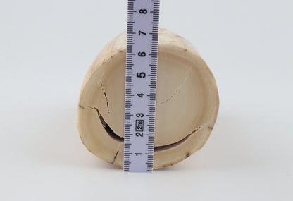 Round woolly mammoth ivory piece