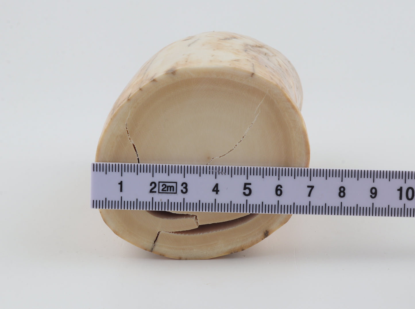 Round woolly mammoth ivory piece
