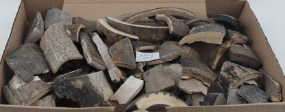 Untreated mammoth bark pieces