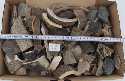 Untreated mammoth bark pieces