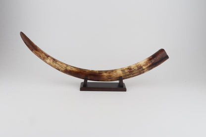 Restored woolly mammoth tusk