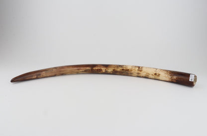 Restored woolly mammoth tusk