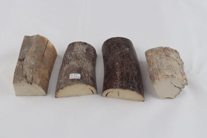 Raw mammoth ivory pieces