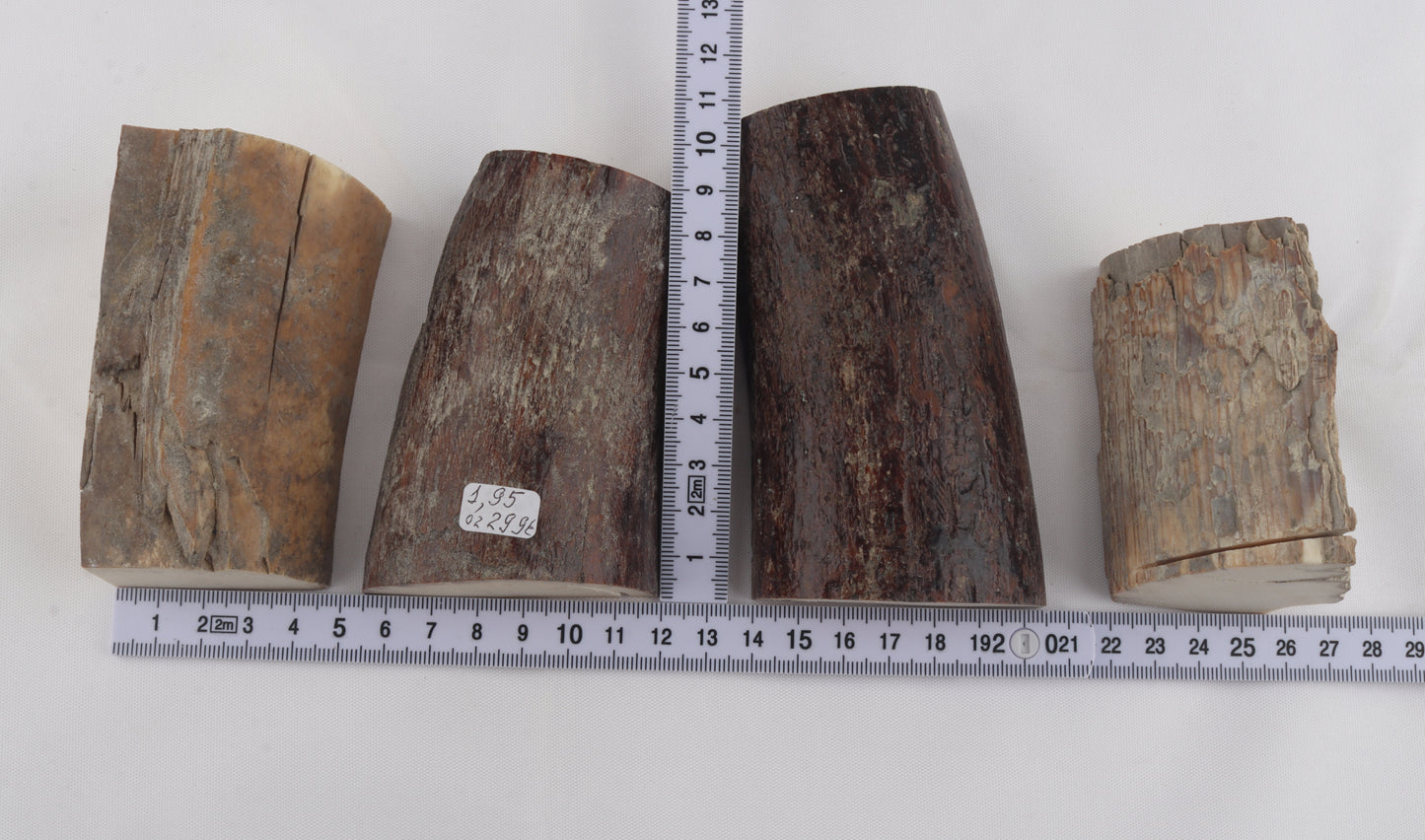 Raw mammoth ivory pieces