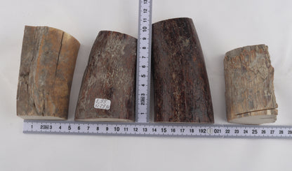 Raw mammoth ivory pieces