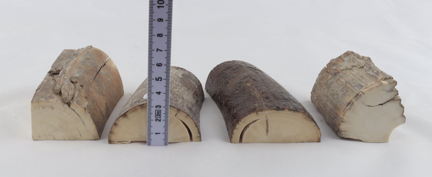 Raw mammoth ivory pieces