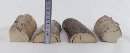 Raw mammoth ivory pieces
