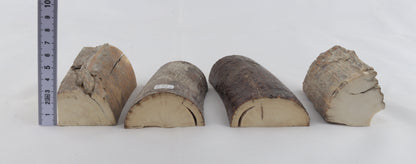 Raw mammoth ivory pieces