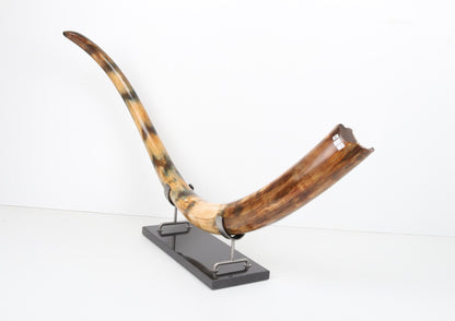 Restored woolly mammoth tusk