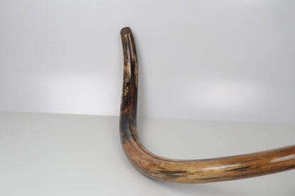 Restored woolly mammoth tusk