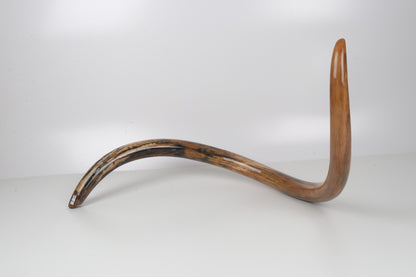 Restored woolly mammoth tusk