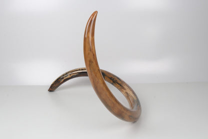 Restored woolly mammoth tusk
