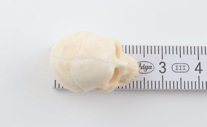 Hand carved mammoth ivory skull