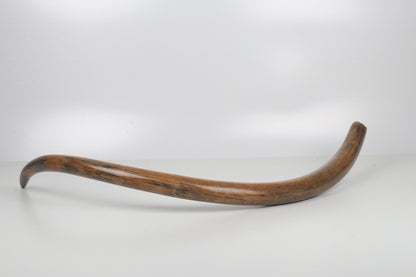 Restored woolly mammoth tusk
