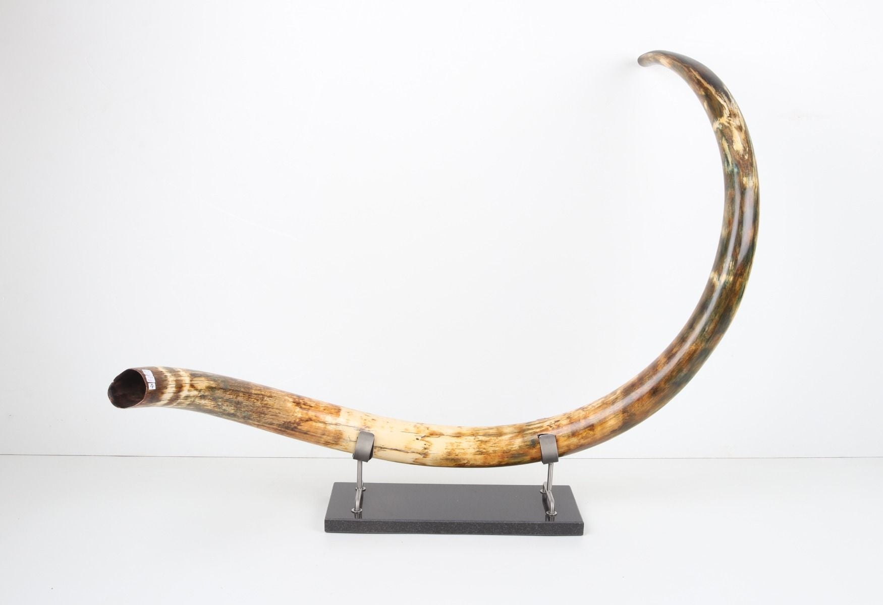 Restored woolly mammoth tusk