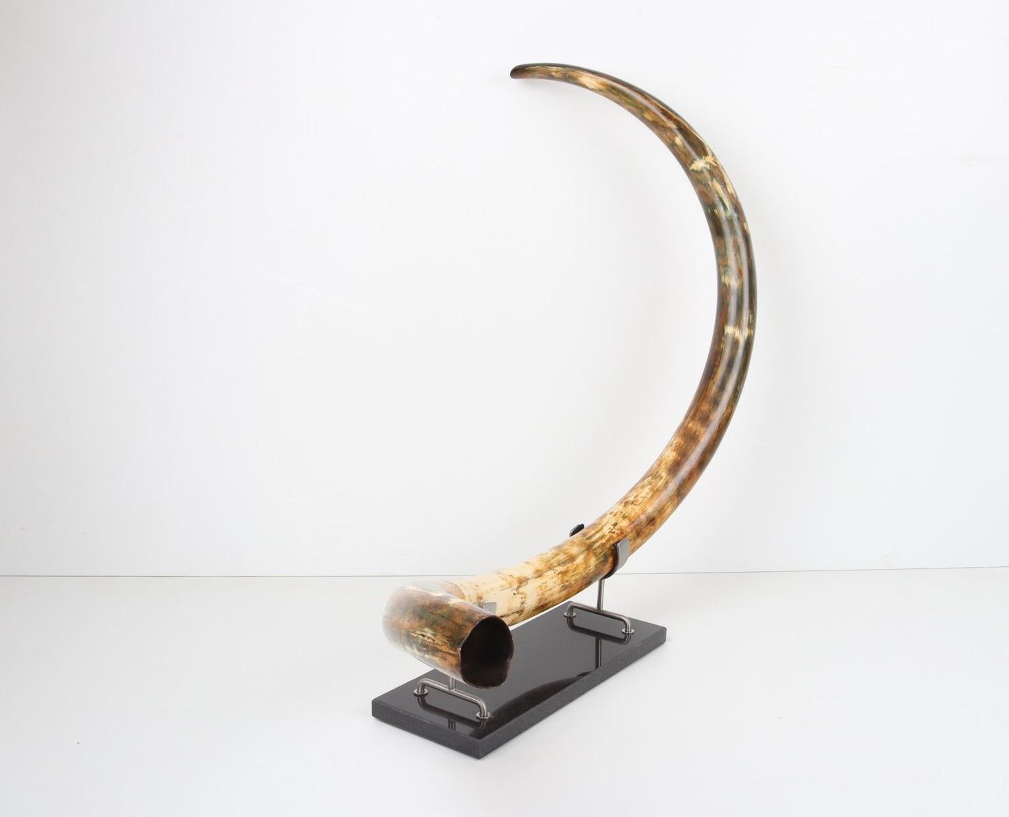 Restored woolly mammoth tusk