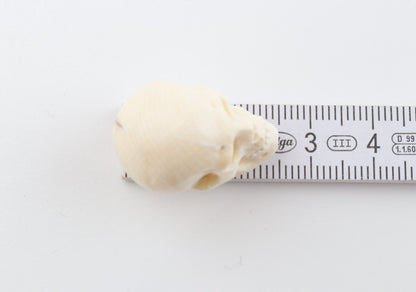 Hand carved mammoth ivory skull
