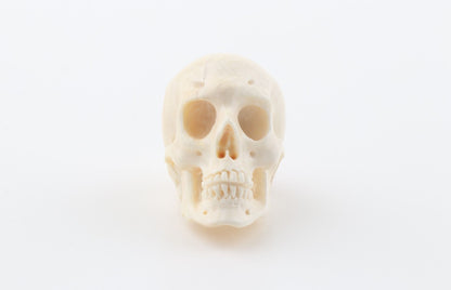 Hand carved mammoth ivory skull