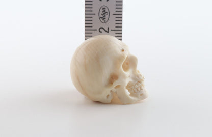 Hand carved mammoth ivory skull