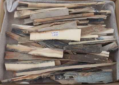 Raw mammoth ivory offcuts