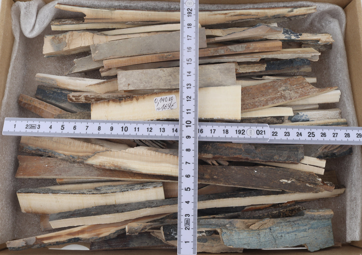 Raw mammoth ivory offcuts