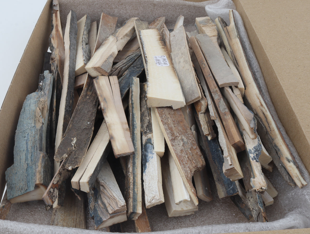 Raw mammoth ivory offcuts