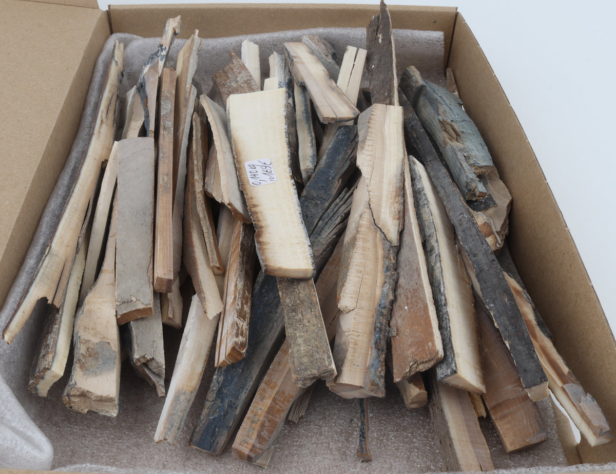 Raw mammoth ivory offcuts