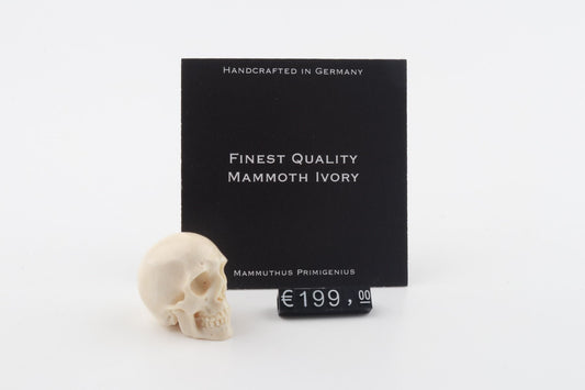 Hand carved mammoth ivory skull
