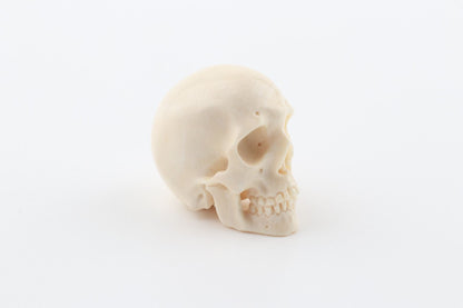 Hand carved mammoth ivory skull