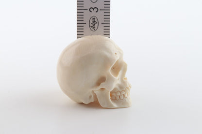 Hand carved mammoth ivory skull