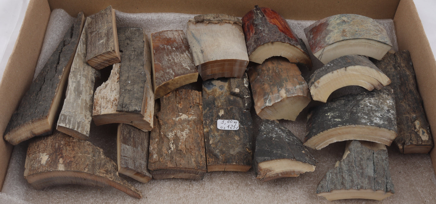 Raw mammoth bark pieces