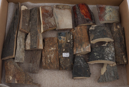 Raw mammoth bark pieces