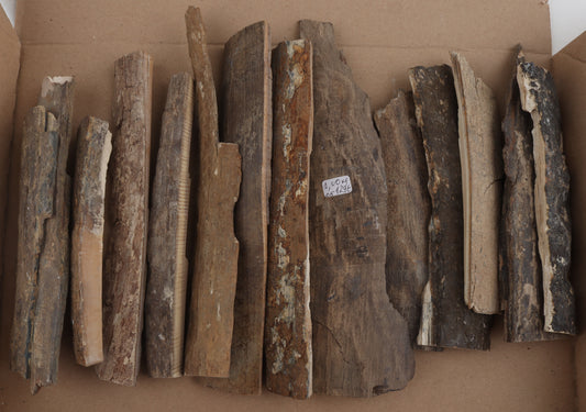 Untreated mammoth bark pieces