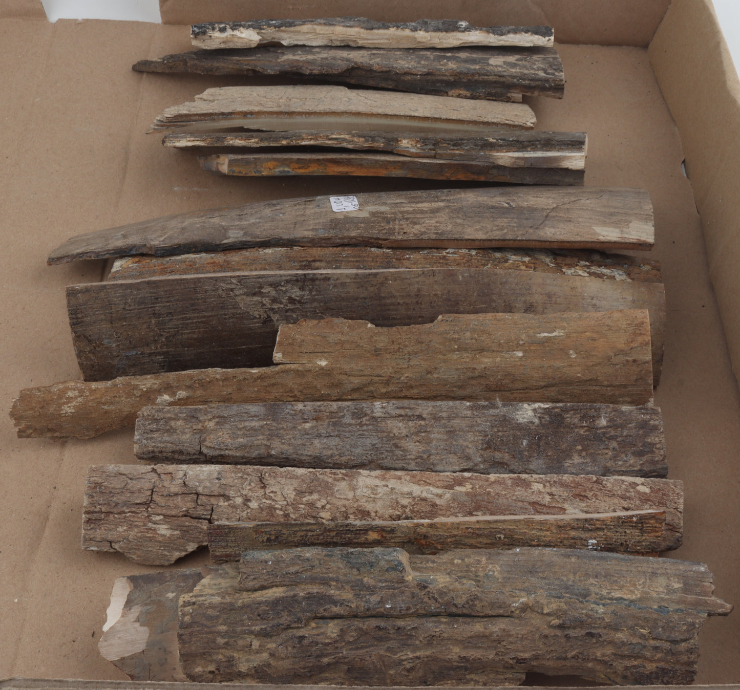 Untreated mammoth bark pieces