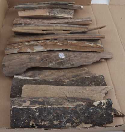 Untreated mammoth bark pieces