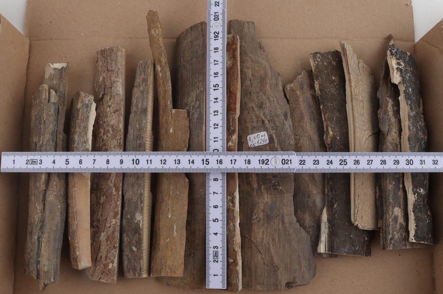 Untreated mammoth bark pieces