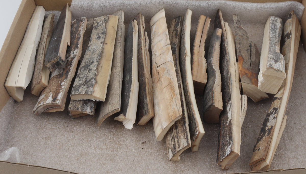Raw mammoth bark pieces