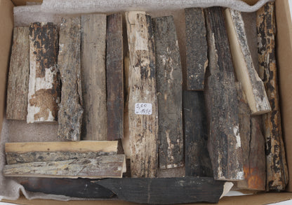 Raw mammoth bark pieces
