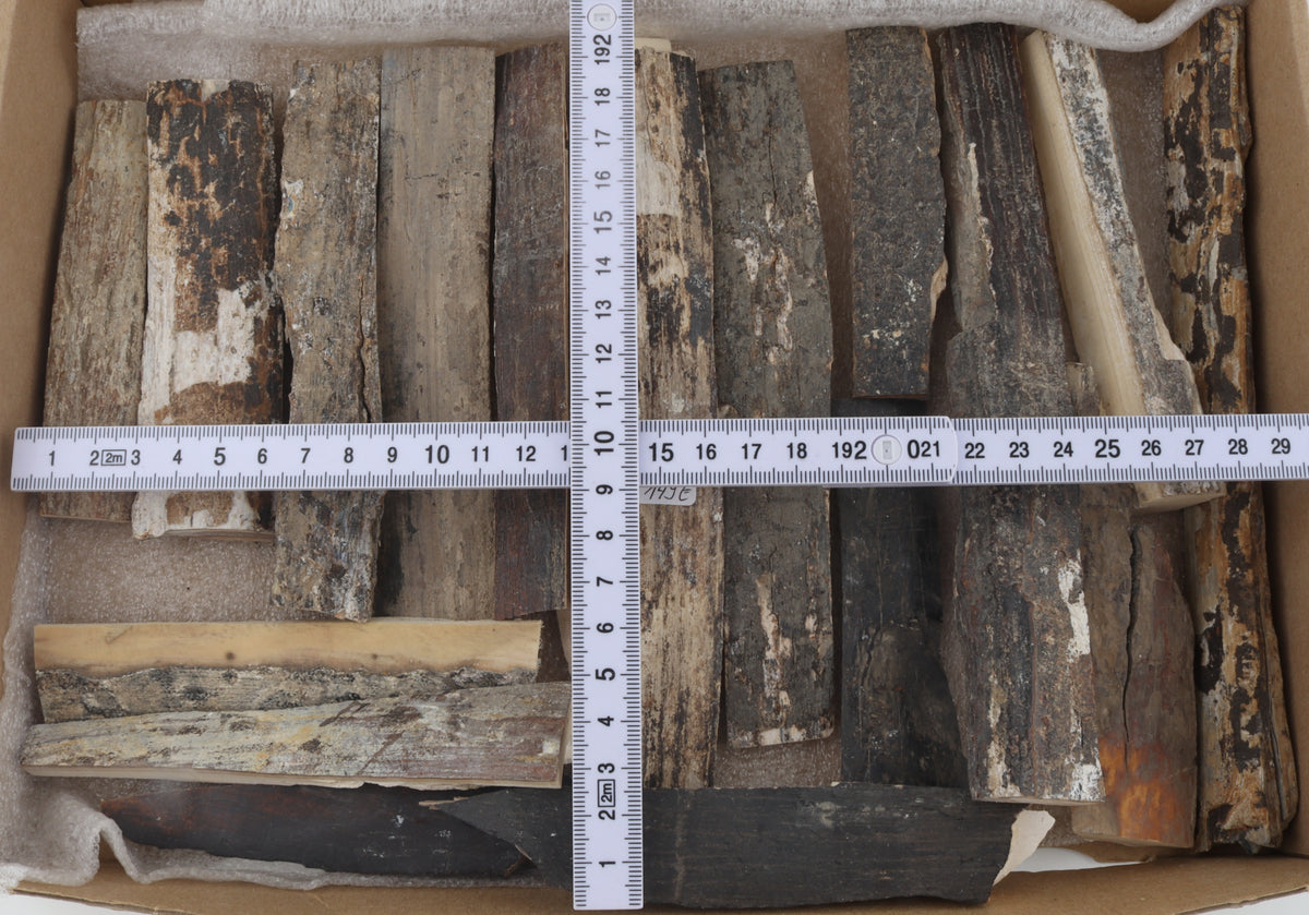 Raw mammoth bark pieces