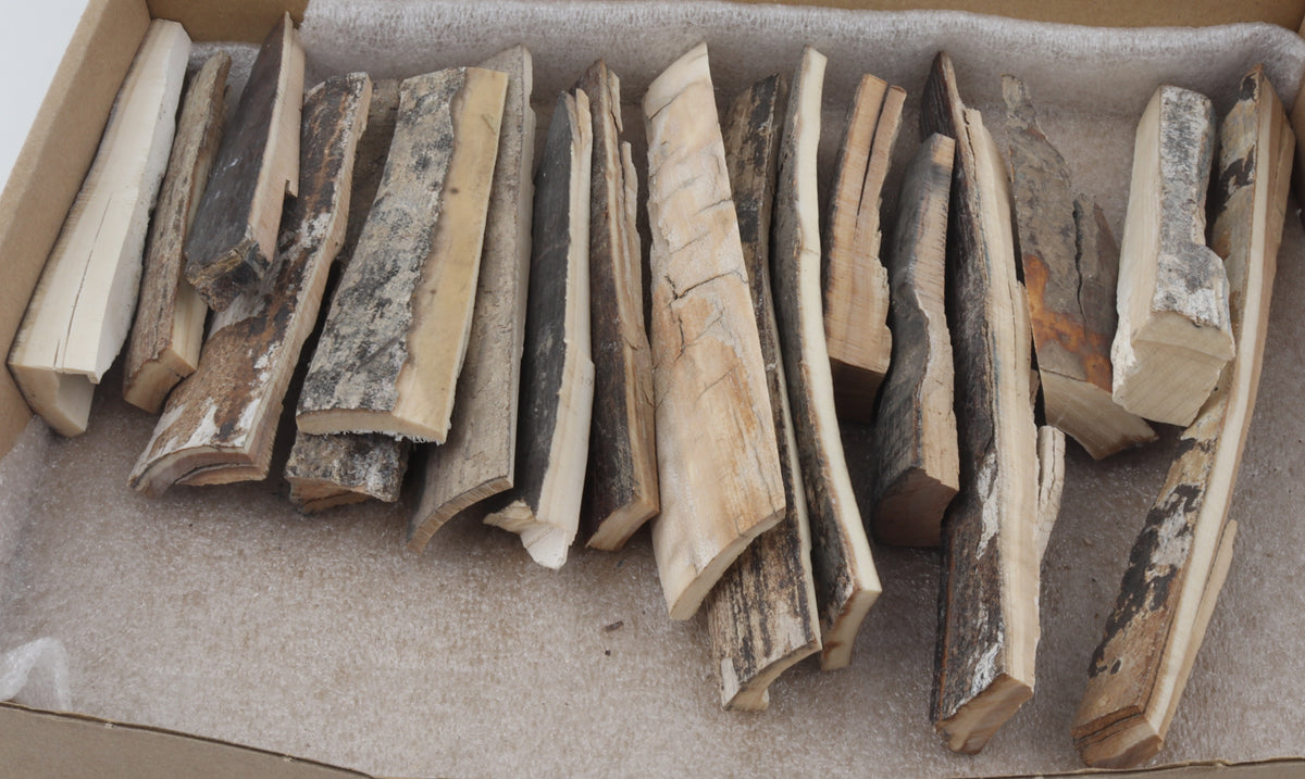 Raw mammoth bark pieces