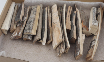 Raw mammoth bark pieces