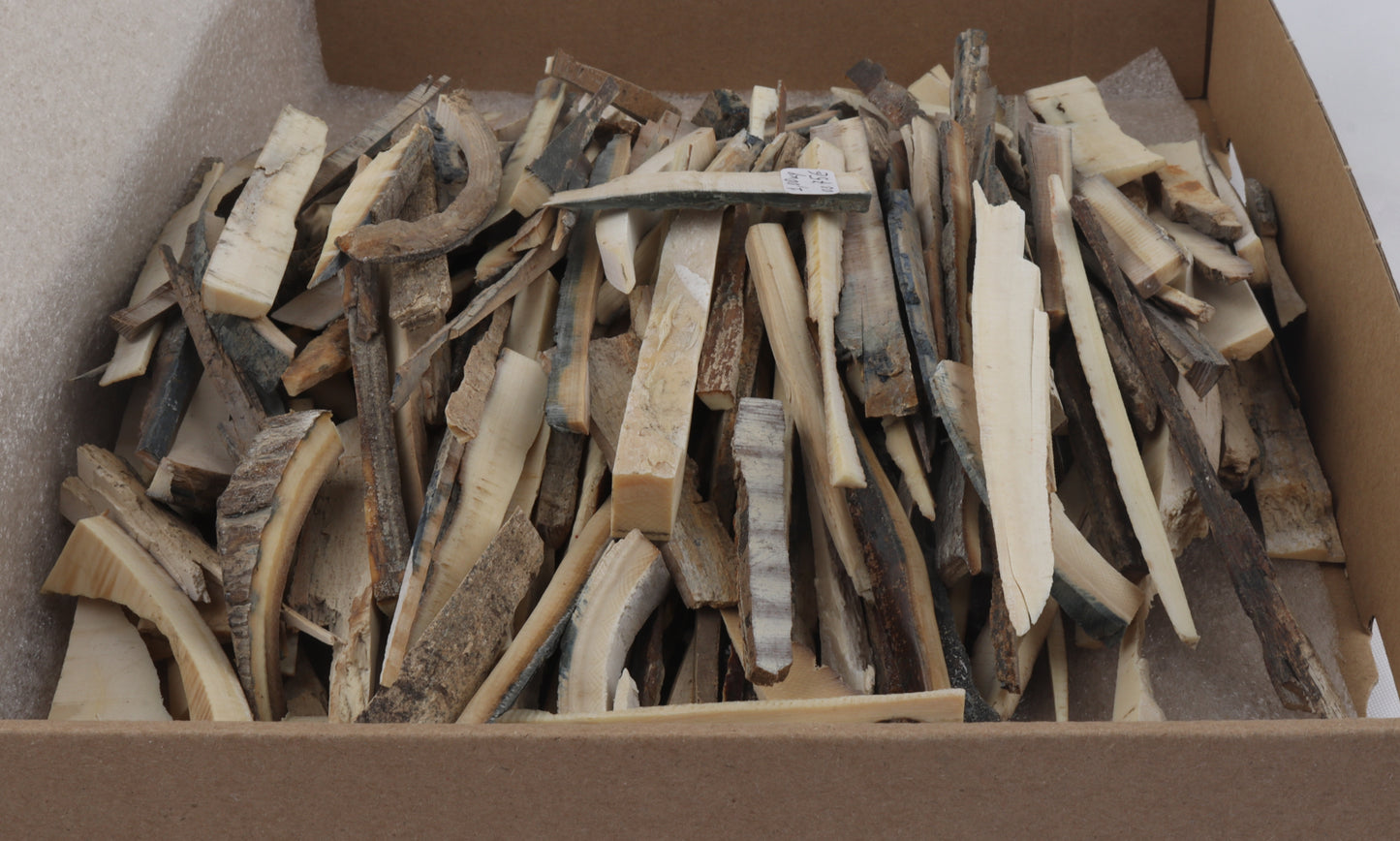 Raw mammoth ivory offcuts