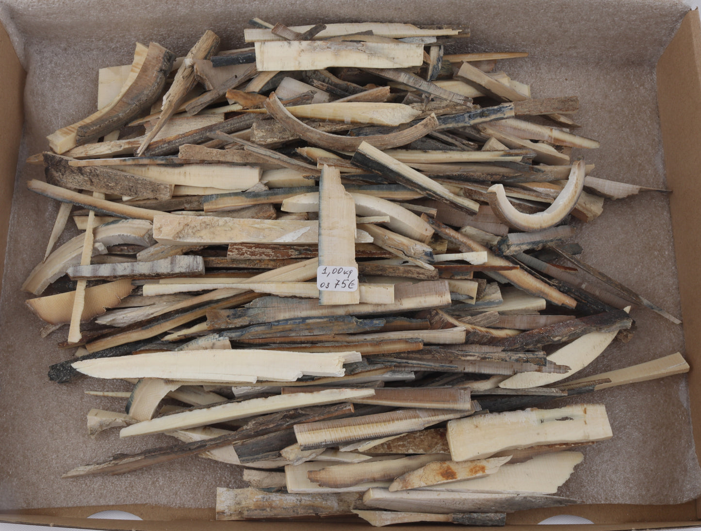 Raw mammoth ivory offcuts