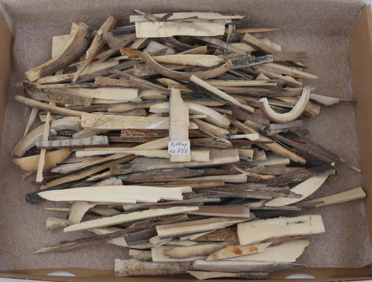 Raw mammoth ivory offcuts