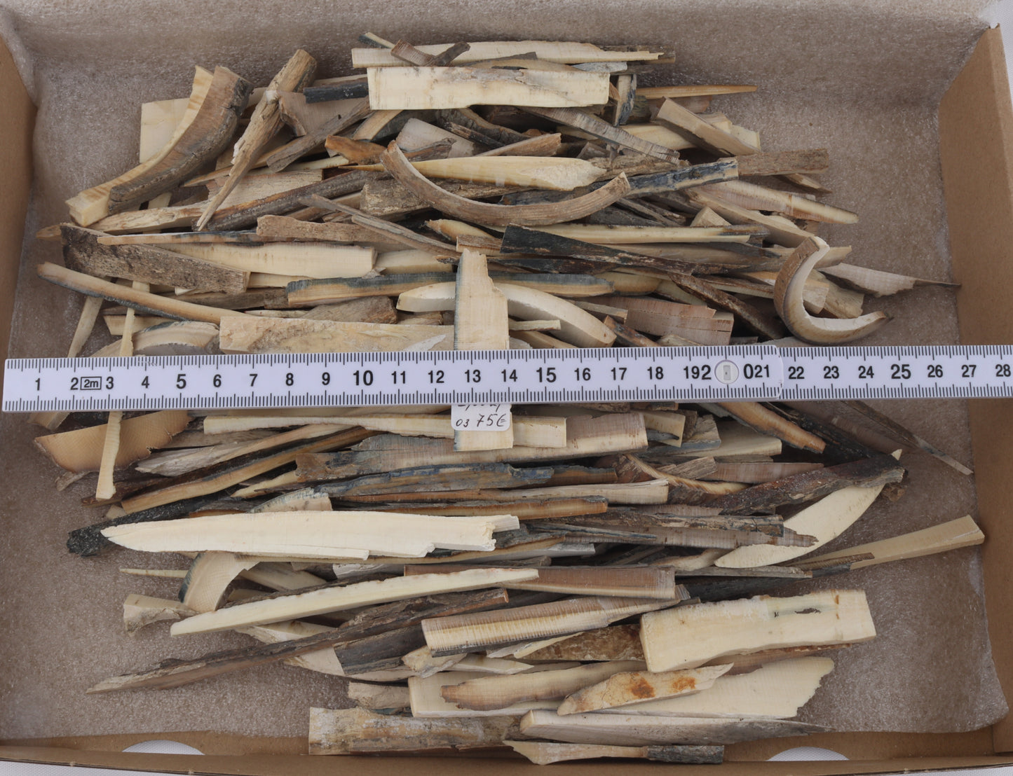 Raw mammoth ivory offcuts