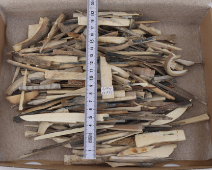 Raw mammoth ivory offcuts