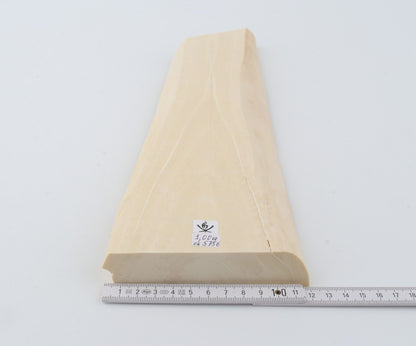 White mammoth ivory segment